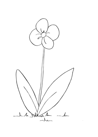 Blomma