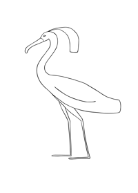 Egyptian bird