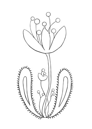Blommor