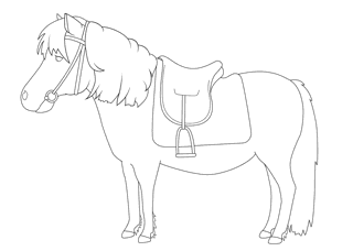 Pony 