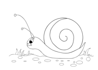 Snail