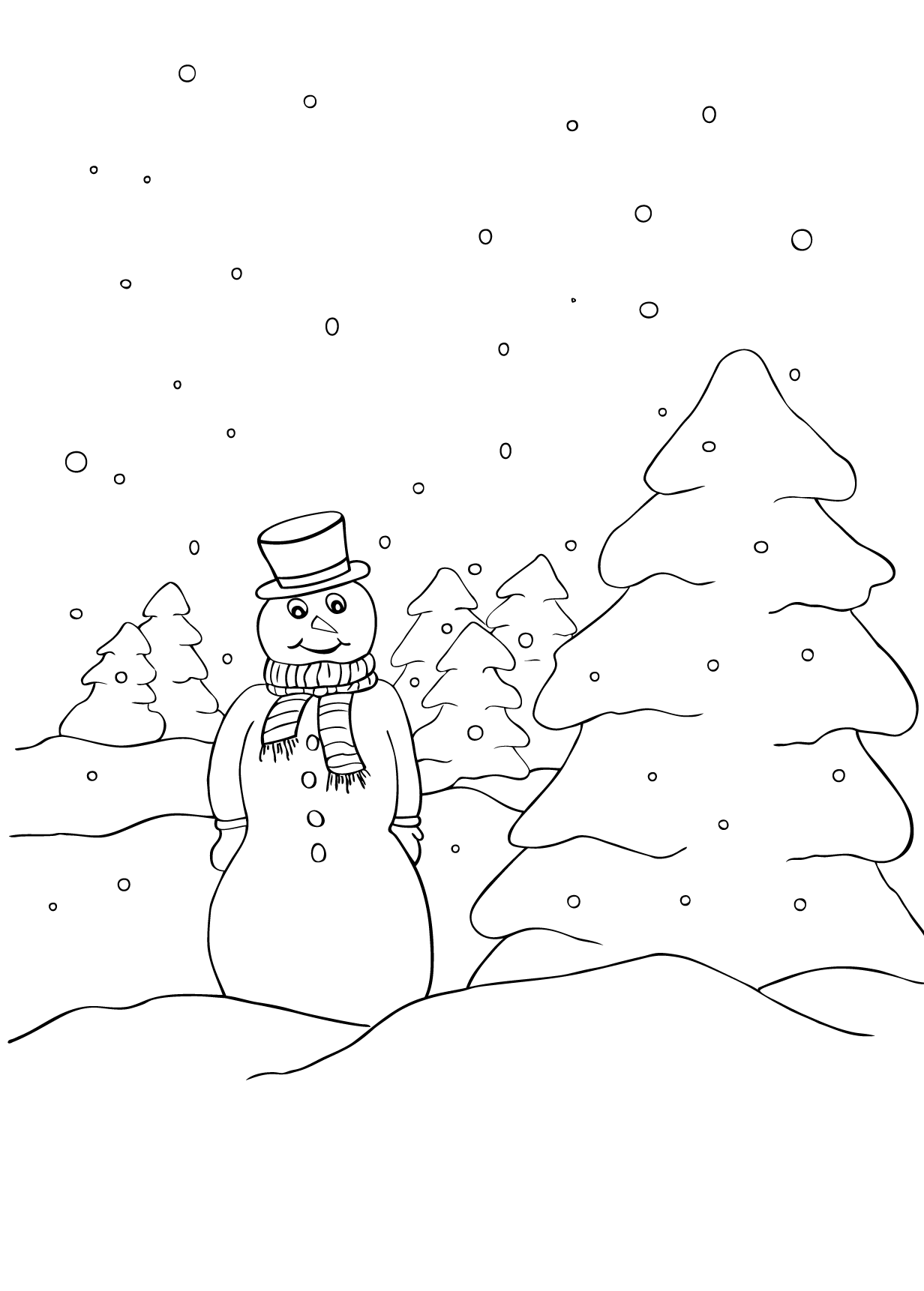Snowman - Christmas, Winter