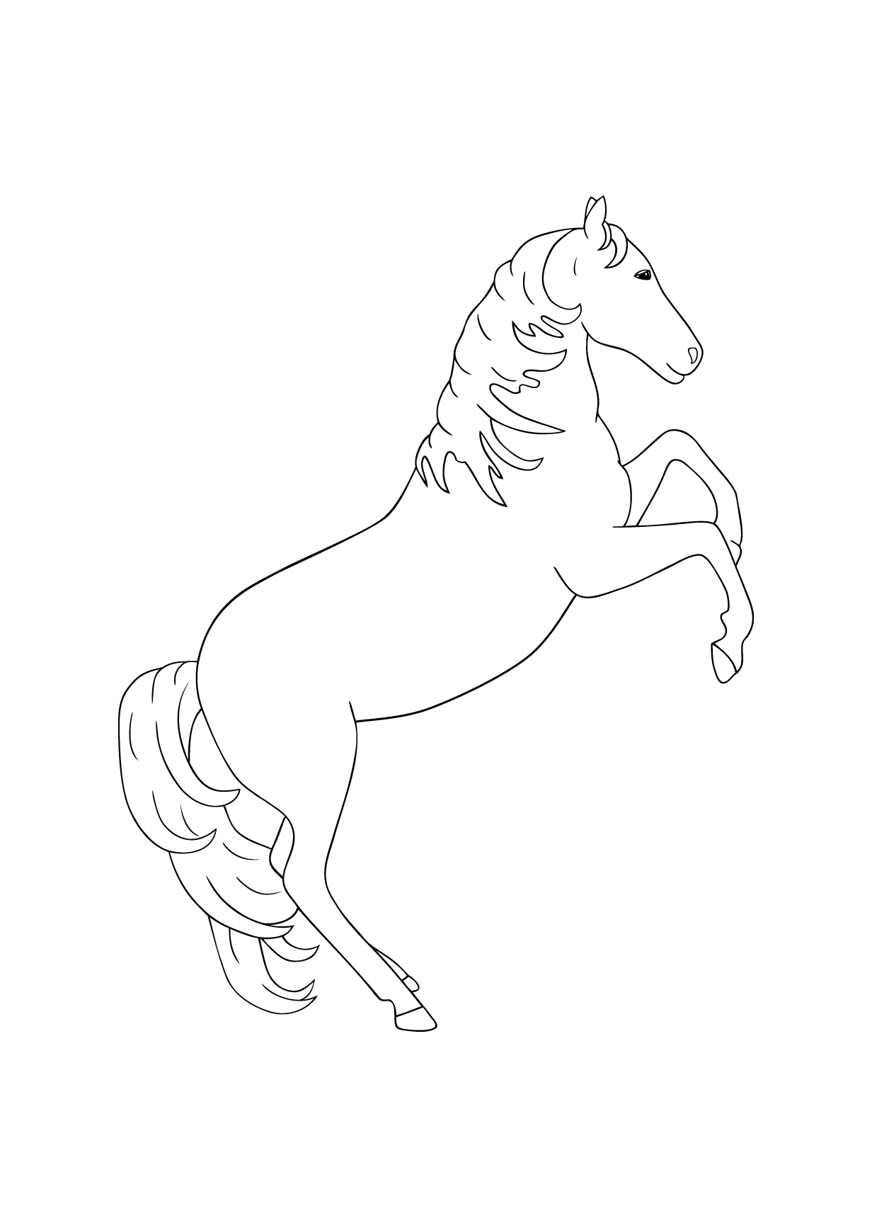 Horse 4 - Horses