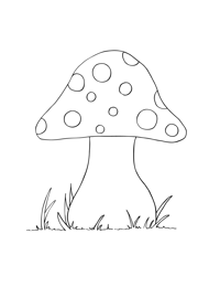 Svamp