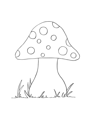Höst