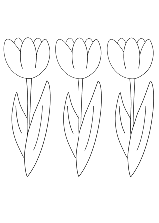 Tulpaner