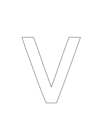 v1