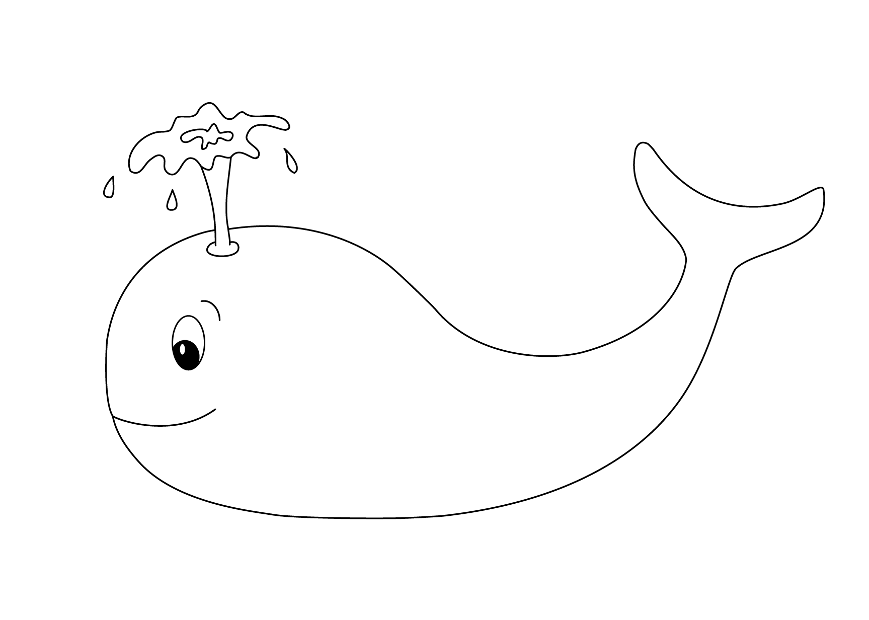 Whale - Animal